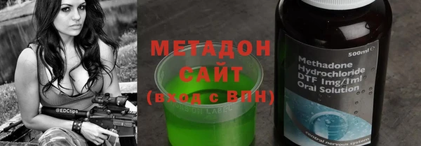 амф Гусев
