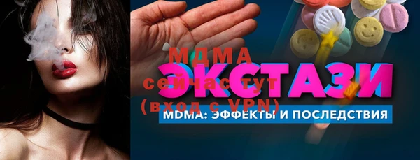 амф Гусев