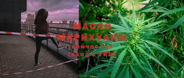 амф Гусев