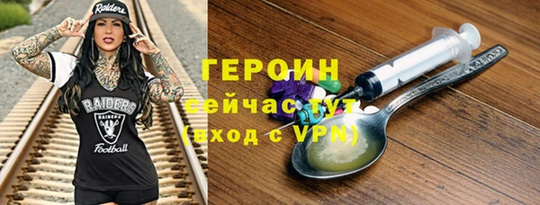 амф Гусев