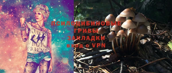 амф Гусев