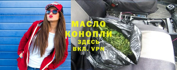 амф Гусев