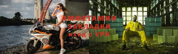 амф Гусев