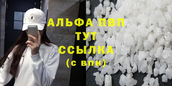 амф Гусев