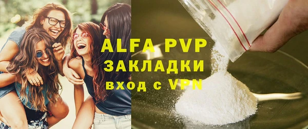 амф Гусев