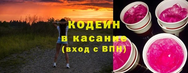 амф Гусев