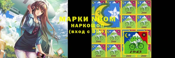 амф Гусев