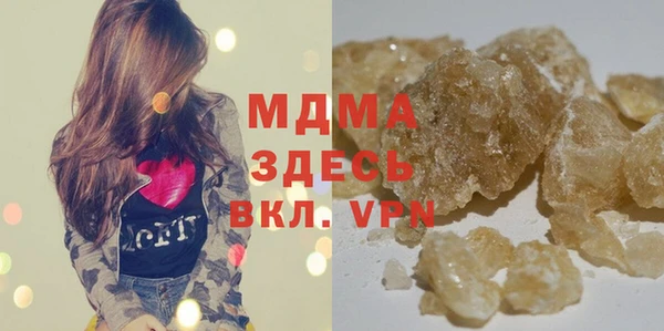 амф Гусев