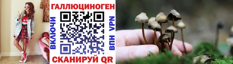 ОМГ ОМГ ссылки  где можно купить   Чистополь  Псилоцибиновые грибы мицелий 