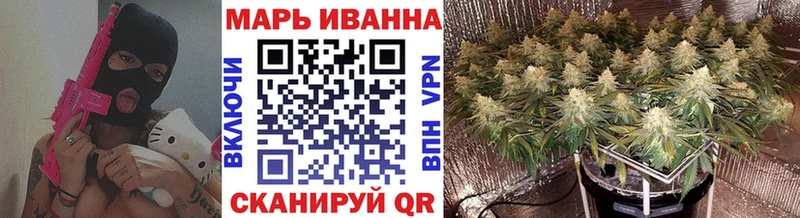 Бошки марихуана VHQ  как найти наркотики  Чистополь 